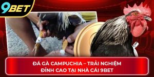 đá gà campuchia