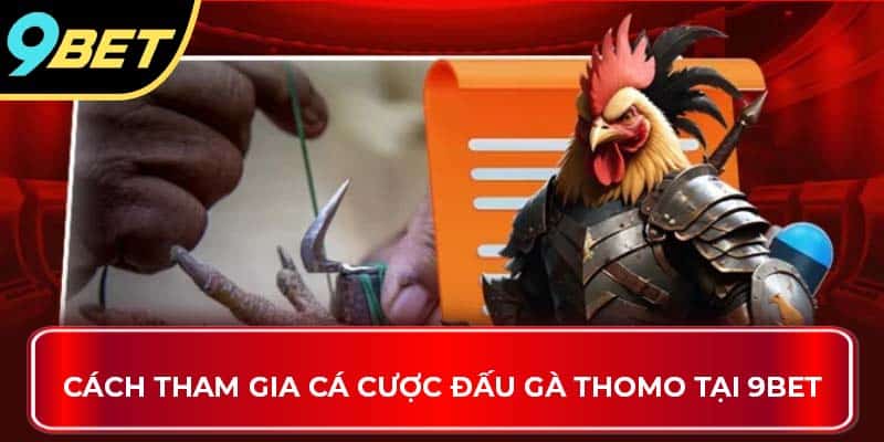 Cách tham gia cá cược đấu gà Thomo tại 9BET