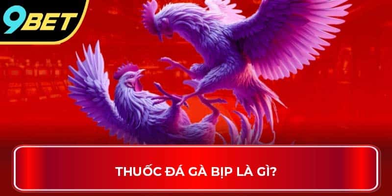 Thuốc đá gà bịp là gì?